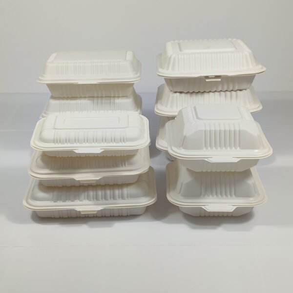 Biodegradable food container