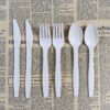 Biodegradable Fork Spoon Knife for Restaurant