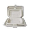 100%Biodegradable Lunch Box