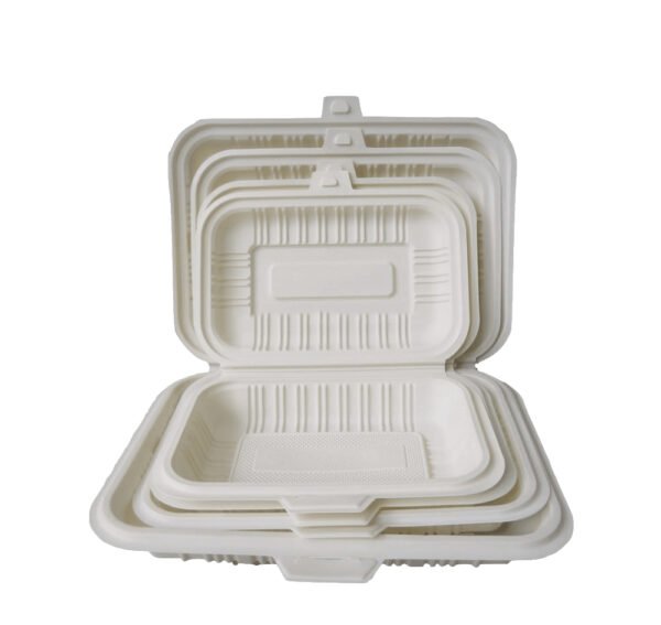 100%Biodegradable Lunch Box