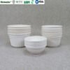100%Biodegradable Sugarcane Bagasse Bowl