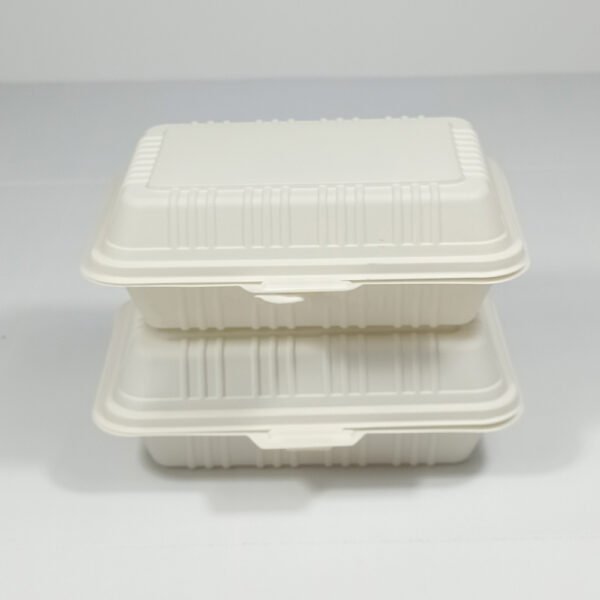 100%Biodegradable Lunch Box