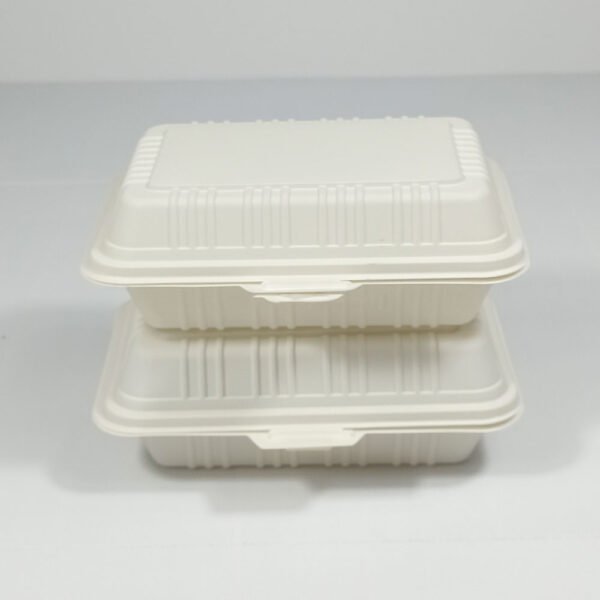 Biodegradable Food Container