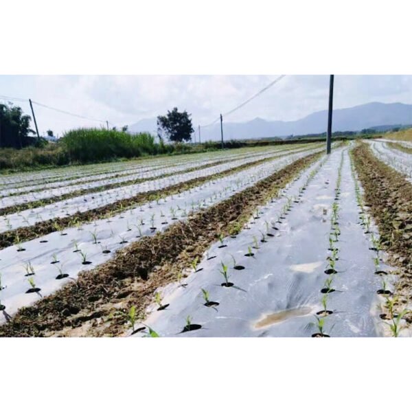 100% Biodegradable Arigiculture Film