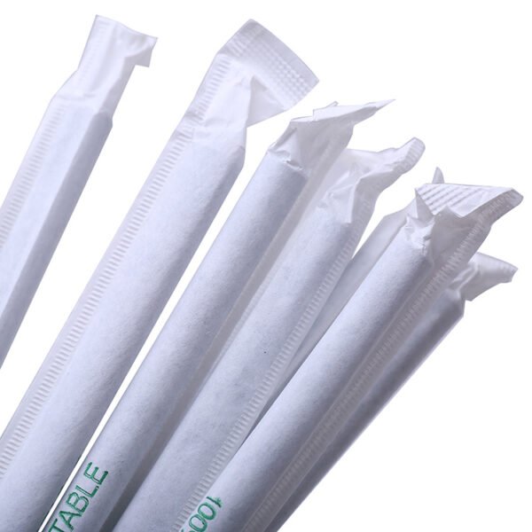 100% Biodegradable and Compostable Straws