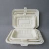 Biodegradable Food Container