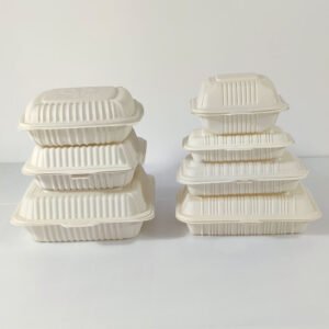 biodegradable food container