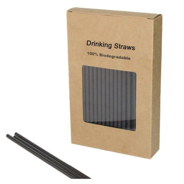 100% PLA Biodegradable Straws