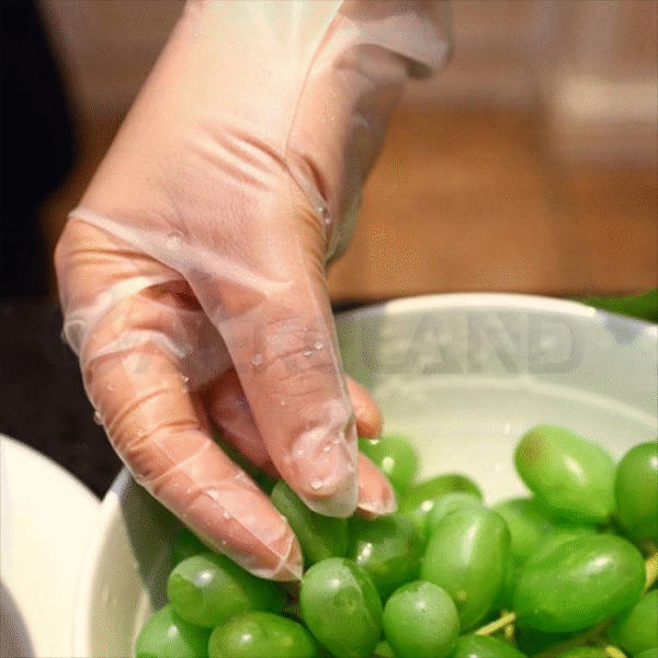 Biodegradable Plastic Glove for Food