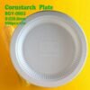 100% Compostable Sugarcane Bagasse Food Plate