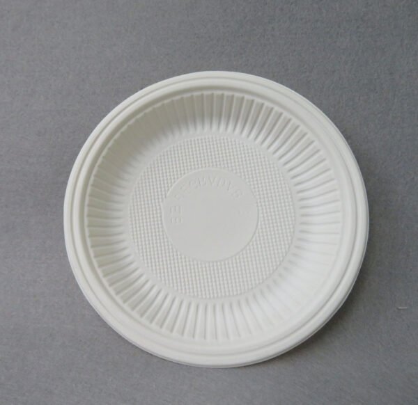 100% Compostable Sugarcane Bagasse Food Plate