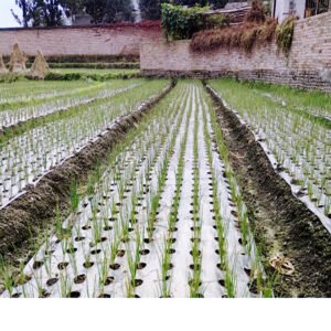 PLA agricultuure film