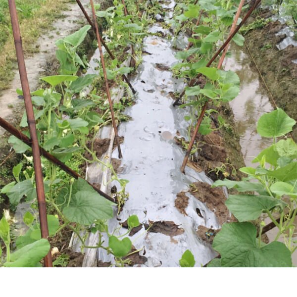 Hb456cc06c30d42c39b8c7cadd2988238j (1) 100% Corn Starch Arigiculture Film