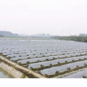 Hc56e964ccf224756b637509f72942c41l-1.jpg biodegradable agriculture film