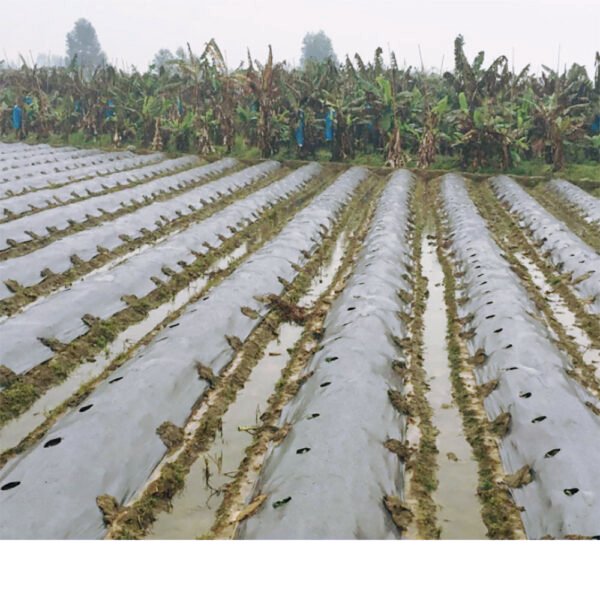 Hd11f0e02ef4442bd848d7f1b24f6cd53Z 100% PLA Arigiculture Film