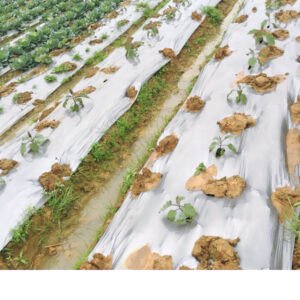 biodegradable agriculture film