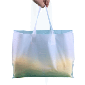 biodegradable shopping bag