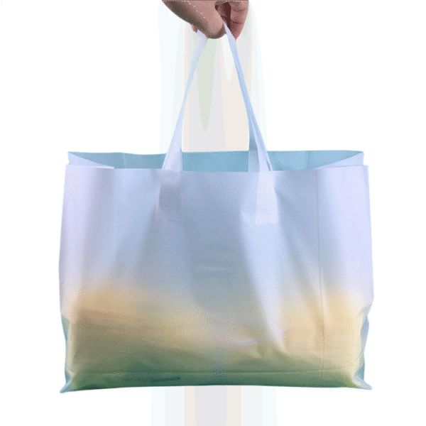 biodegradable shopping bag