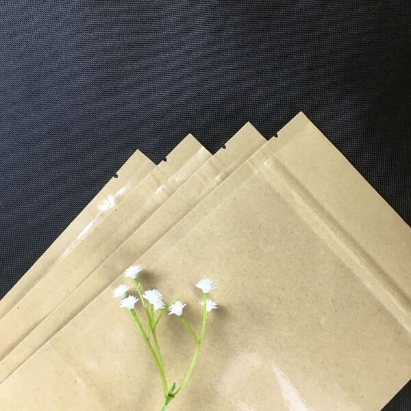 Biodegradable Food Packaging bag