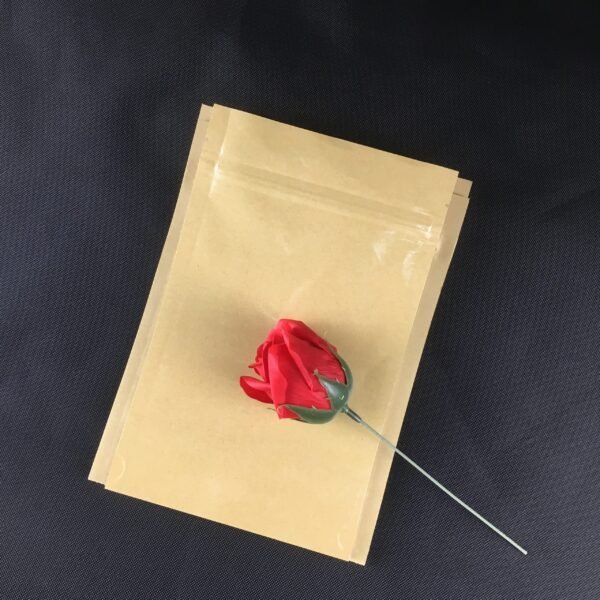 Biodegradable Food Packaging bag