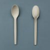 O1CN01jFeReM2D1x5sd2Z1b_ Biodegradable Fork Spoon for Restaurant